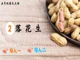 《落花生》精品课件（第一课时）