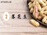 《落花生》精品课件（第二课时）