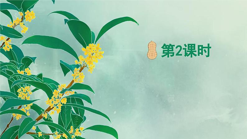 《落花生》精品课件（第二课时）第2页