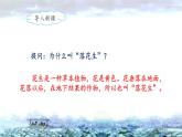 《落花生》名师课件（第一课时）