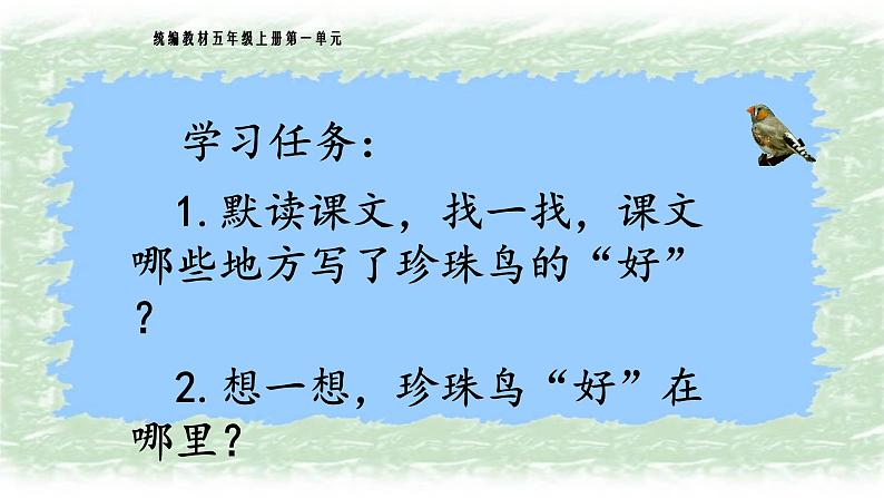 《珍珠鸟》名师精品课件第2页