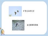 统编版三年级下册第2课《燕子》课件PPT--第二课时