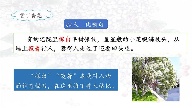 《丁香结》名师课件（第二课时）第6页