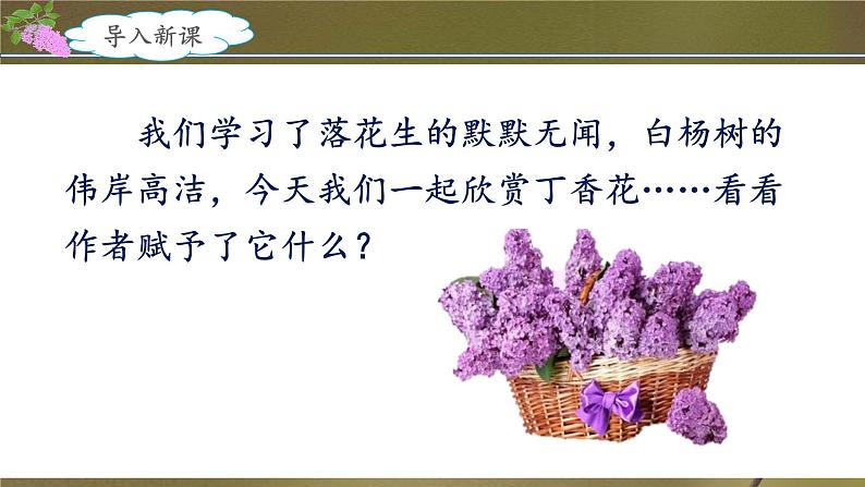 《丁香结》名师课件（第一课时）第2页