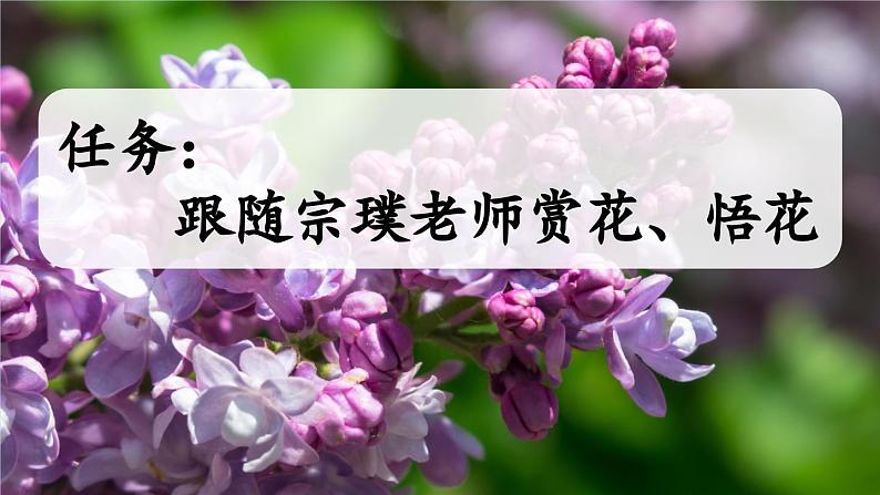 《丁香结》新课标课件（第一课时）第2页