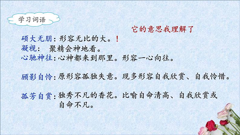 《花之歌》名师课件第7页