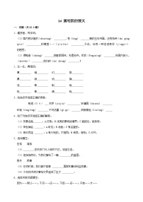 统编版（2024）五年级上册圆明园的毁灭课堂检测