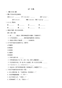 统编版（2024）五年级上册小岛练习题