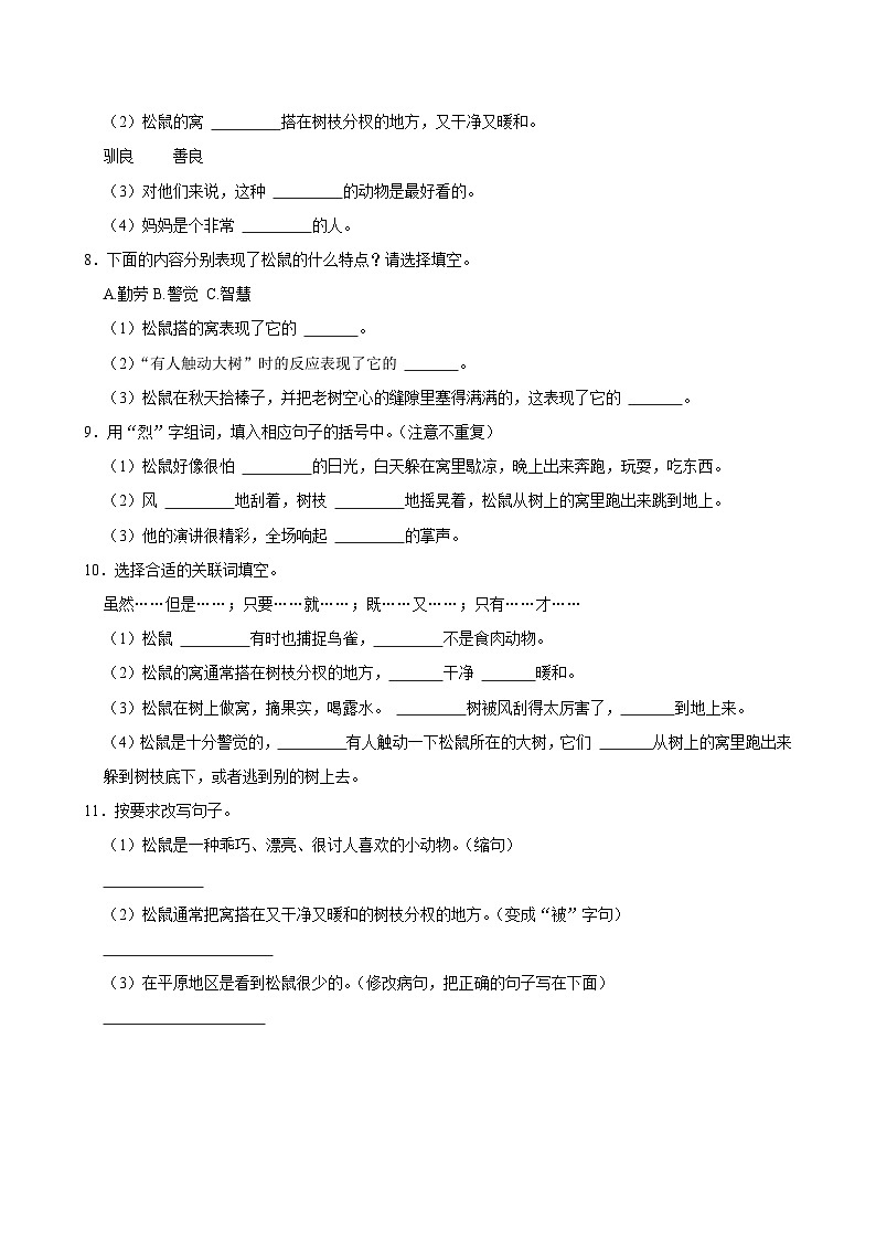 17 松鼠（基础练习）2024-2025学年五年级上册语文统编版第2页