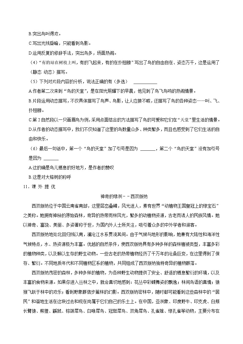 22 鸟的天堂（拔尖练习）2024-2025学年五年级上册语文统编版第3页