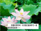部编版（五四制）语文二年级下册 15 晓出净慈寺送林子方（课件）