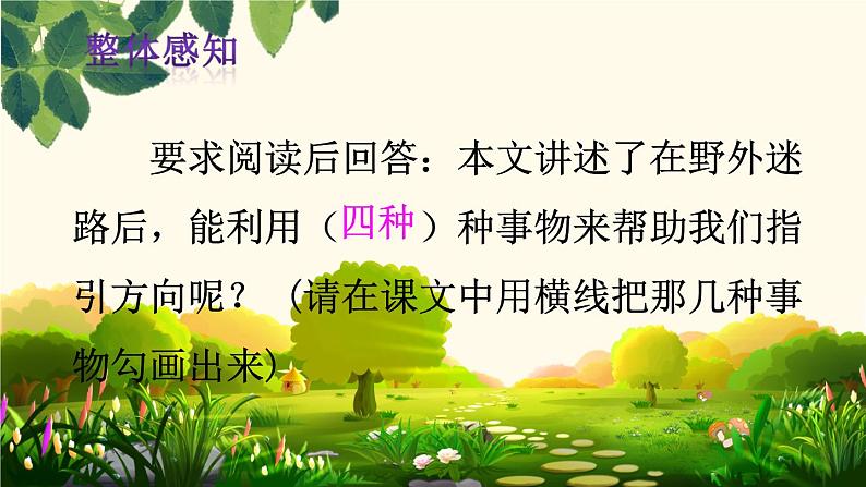 部编版（五四制）语文二年级下册 17 要是你在野外迷了路（第二课时）（课件）第3页