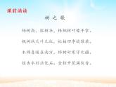 部编版（五四制）语文二年级下册 4 邓小平爷爷植树_（课件）