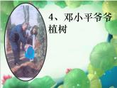 部编版（五四制）语文二年级下册 4 邓小平爷爷植树(1)（课件）