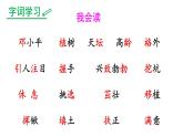 部编版（五四制）语文二年级下册 4 邓小平爷爷植树 (2)（课件）