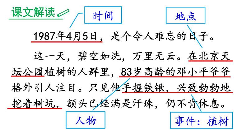 部编版（五四制）语文二年级下册 4 邓小平爷爷植树 (2)（课件）04