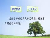 部编版（五四制）语文二年级下册 4 邓小平爷爷植树 (2)（课件）