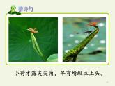 部编版（五四制）语文二年级下册 15 晓出净慈寺送林子方(1)（课件）