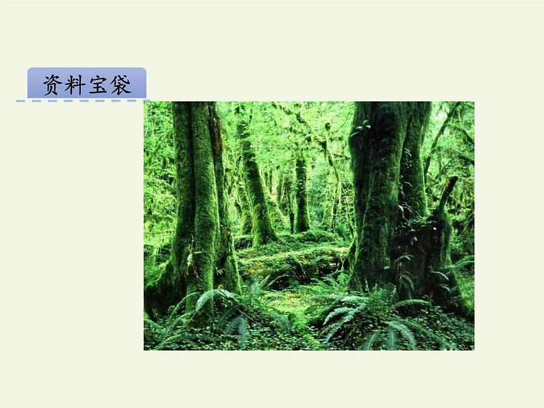 部编版（五四制）语文二年级下册 23 祖先的摇篮（课件）03