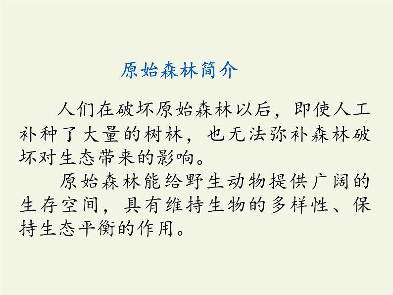 部编版（五四制）语文二年级下册 23 祖先的摇篮（课件）05