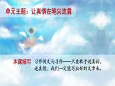 统编版语文六年级下册3单元《习作例文与习作》课件+教案（含教学反思）+字体