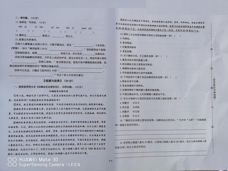 福建省龙岩市上杭县2023-2024学年四年级上学期期末考试语文试题第2页