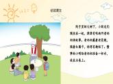 語(yǔ)文統(tǒng)編版（2024）1年級(jí)上冊(cè)漢語(yǔ)拼音第10課 ai ei ui 課件