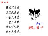 2024年秋一年级上册6影子 课件