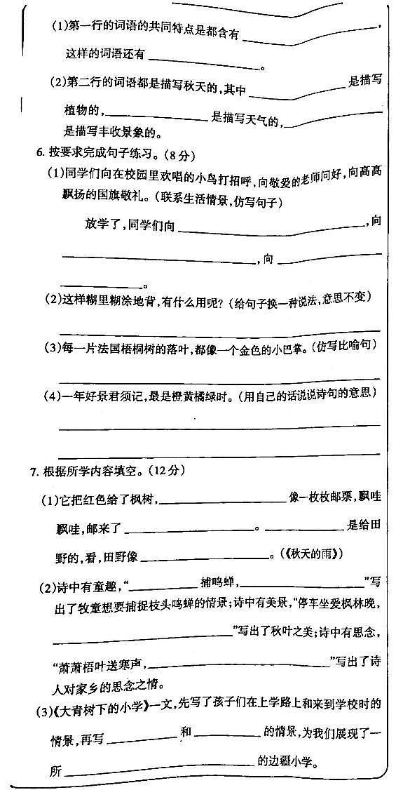 吉林省白城市部分学校2024-2025学年三年级上学期第一次月考语文试卷02