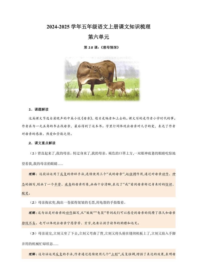 2024～2025学年五年级语文上册第六单元课文知识梳理讲义第1页