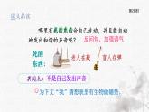 統(tǒng)編版語(yǔ)文六年級(jí)下冊(cè)5單元《表里的生物》課件2課時(shí)（含課后練習(xí)）+教案（含教學(xué)反思）+說(shuō)課稿+字體