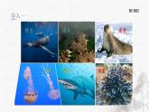 统编版语文六年级下册5单元《表里的生物》课件1课时+教案+视频+字体