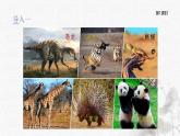统编版语文六年级下册5单元《表里的生物》课件1课时+教案+视频+字体