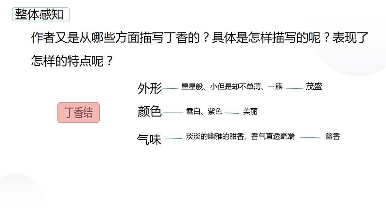 02《丁香结》（课件）-2024-2025学年六年级语文上册同步精品课堂（统编版五四制2024）07