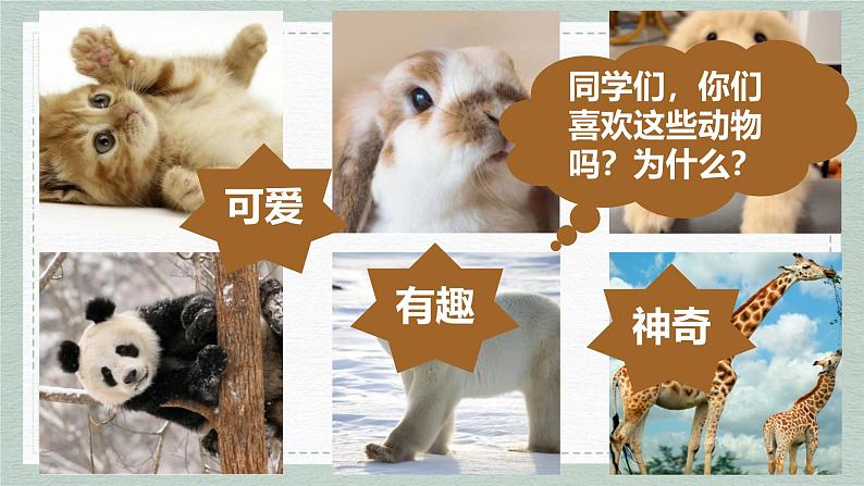 人教部编版二上《有趣的动物》PPT03