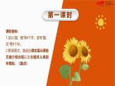 统编版（2024）五年级语文上册16.太阳课件