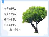 统编版（2024）二年级语文上册识字2树之歌课件