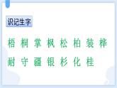 统编版（2024）二年级语文上册识字2树之歌课件