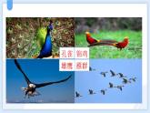 统编版（2024）二年级语文上册识字3拍手歌课件