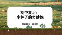 【新教材-核心素养】统编版语文一上 《期中复习：种子的奇妙旅》课件+音视频素材