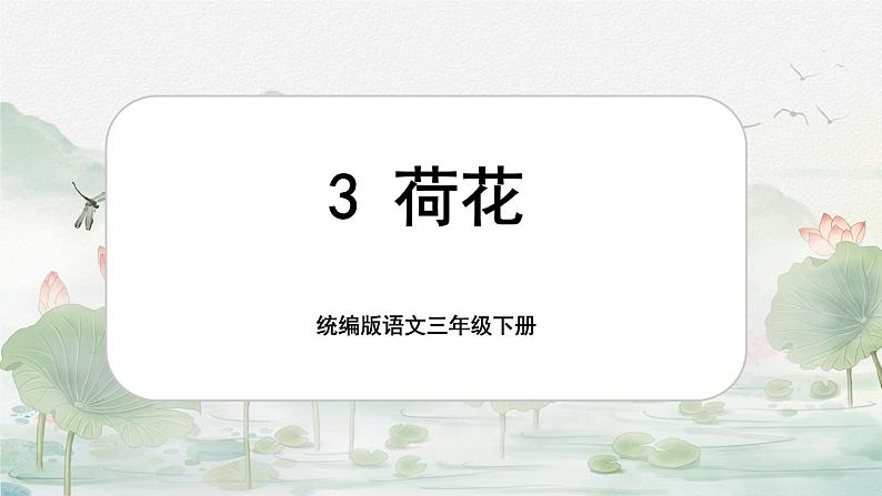 【核心素养-任务型】3《荷花》课件+教案+音视频素材+课文朗读01