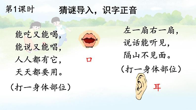 统编版2024（秋）语文一上 识字3《口耳目手足》课件+教案+音视频素材02