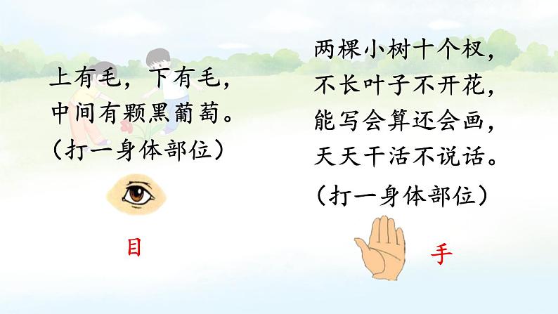 统编版2024（秋）语文一上 识字3《口耳目手足》课件+教案+音视频素材03