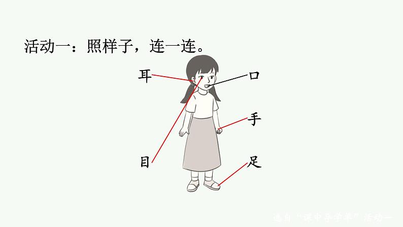 统编版2024（秋）语文一上 识字3《口耳目手足》课件+教案+音视频素材07