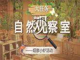 【核心素养-任务型】15《小虾》课件+教案+音视频素材+课文朗读