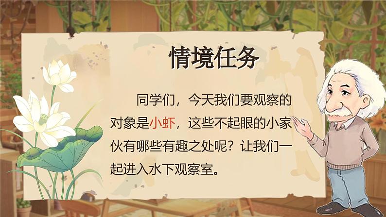 三年级下册第四单元《小虾》第4页