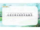 第八单元阅读8《比尾巴》（教学课件） 一年级语文上册（统编版五四制）