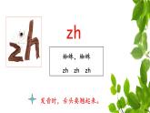 《zh ch sh r》名师精品课件