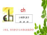 《zh ch sh r》名师精品课件