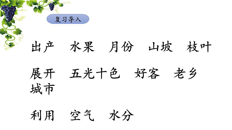 《葡萄沟》名师课件（第二课时）第2页